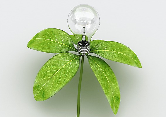 PSD 식물 편집이미지 캠페인 줄기 백그라운드 전구 나뭇잎 사람없음 컴퓨터그래픽 그래픽 3D소스 3D 자연보호 그린캠페인 에너지 그린에너지 백열등 에코 편집소스 편집3D 잎 자연 조명 환경 보호 디지털합성 파일형식