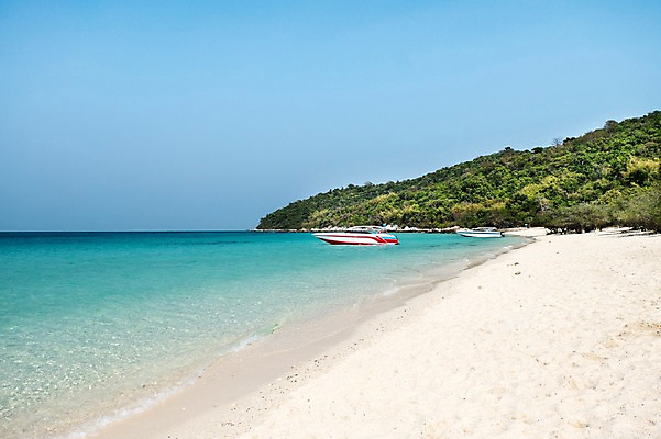 포토 JPG 주간 나무 식물 해외기획촬영 계절 모래 바다 섬 2014년태국 풍경 해변 사람없음 야외 여름 모래사장 맑음 여름풍경 보트 선박 국내포토 자연요소 수상교통 배_교통 날씨 파일형식 여름_계절