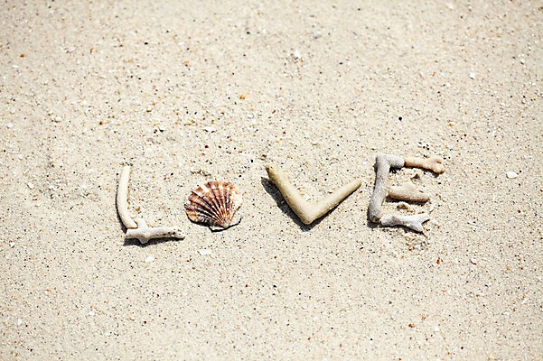 포토 JPG 주간 해외기획촬영 알파벳 영어 계절 모래 바다 백그라운드 조개 2014년태국 사랑 풍경 해변 사람없음 야외 여름 단어 모래사장 여름풍경 오브젝트 가리비 국내포토 자연요소 문자 감정 어패류 파일형식 여름_계절