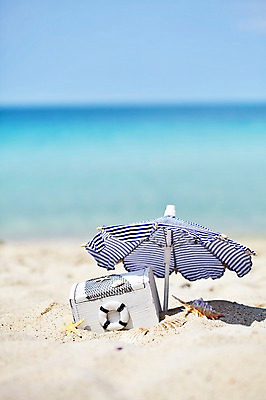 포토 JPG 주간 해외기획촬영 계절 모래 바다 조개 불가사리 2014년태국 풍경 해변 사람없음 야외 아웃포커스 여름 상자 모래사장 맑음 여름풍경 파라솔 오브젝트 보물상자 국내포토 자연요소 날씨 어패류 극피동물 촬영기법 파일형식 여름_계절