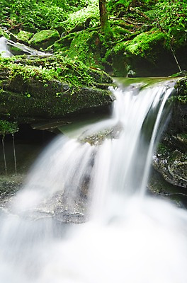 포토 JPG 주간 나무 식물 자연 한국 물줄기 이끼 풍경 사람없음 야외 물 강 계곡 폭포 흐름 돌_바위 바위 상쾌 강원도 홍천 국내포토 자연요소 감정 아시아 컨셉 생태계 파일형식