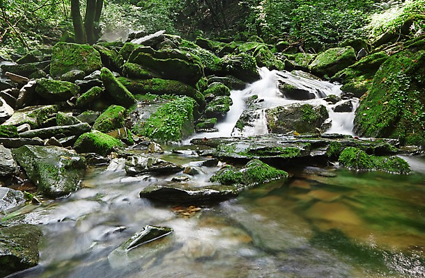 포토 JPG 주간 나무 식물 자연 한국 물줄기 이끼 풍경 사람없음 야외 물 강 계곡 폭포 흐름 돌_바위 바위 상쾌 강원도 홍천 국내포토 자연요소 감정 아시아 컨셉 생태계 파일형식