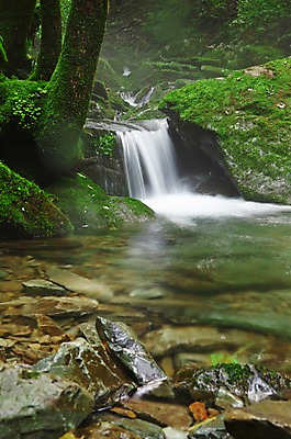 포토 JPG 주간 나무 식물 자연 한국 물줄기 이끼 풍경 사람없음 야외 물 강 계곡 폭포 흐름 돌_바위 바위 상쾌 강원도 홍천 국내포토 자연요소 감정 아시아 컨셉 생태계 파일형식