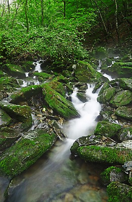 포토 JPG 주간 나무 식물 자연 한국 물줄기 이끼 풍경 사람없음 야외 물 강 계곡 폭포 흐름 돌_바위 바위 상쾌 강원도 홍천 국내포토 자연요소 감정 아시아 컨셉 생태계 파일형식