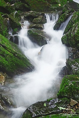 포토 JPG 주간 식물 자연 한국 물줄기 이끼 풍경 사람없음 야외 물 강 계곡 폭포 흐름 돌_바위 바위 상쾌 강원도 홍천 국내포토 자연요소 감정 아시아 컨셉 생태계 파일형식