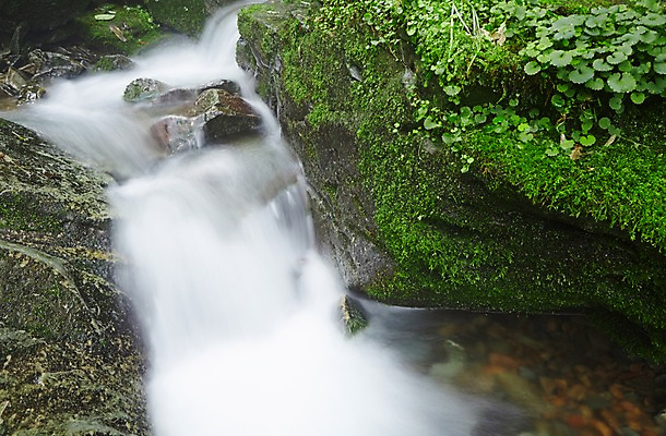 포토 JPG 주간 식물 자연 한국 물줄기 이끼 풍경 사람없음 야외 물 강 계곡 폭포 흐름 돌_바위 바위 풀 상쾌 강원도 홍천 국내포토 자연요소 감정 아시아 컨셉 생태계 파일형식