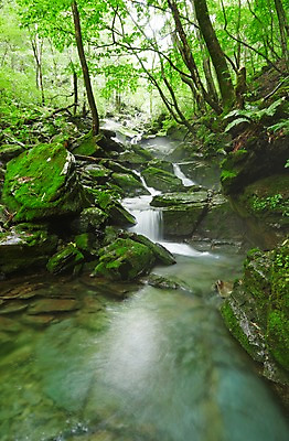 포토 JPG 주간 나무 식물 자연 한국 물줄기 이끼 풍경 사람없음 야외 물 강 계곡 폭포 흐름 돌_바위 바위 상쾌 강원도 홍천 국내포토 자연요소 감정 아시아 컨셉 생태계 파일형식