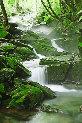 포토 JPG 주간 나무 식물 자연 한국 물줄기 이끼 풍경 사람없음 야외 물 강 계곡 폭포 흐름 돌_바위 바위 상쾌 강원도 홍천 국내포토 자연요소 감정 아시아 컨셉 생태계 파일형식