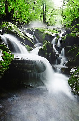 포토 JPG 주간 나무 식물 자연 한국 물줄기 이끼 풍경 사람없음 야외 물 강 계곡 폭포 흐름 돌_바위 바위 상쾌 강원도 홍천 국내포토 자연요소 감정 아시아 컨셉 생태계 파일형식