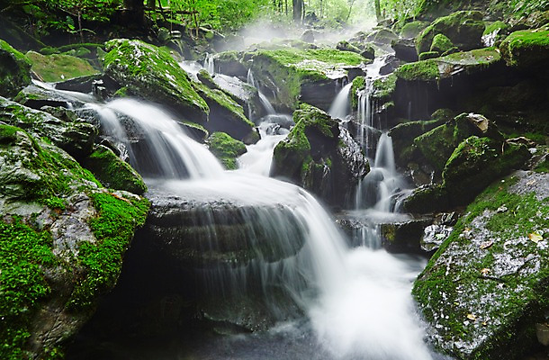 포토 JPG 주간 나무 식물 자연 한국 물줄기 이끼 풍경 사람없음 야외 물 강 계곡 폭포 흐름 돌_바위 바위 상쾌 강원도 홍천 국내포토 자연요소 감정 아시아 컨셉 생태계 파일형식