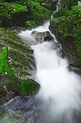 포토 JPG 주간 나무 식물 자연 한국 물줄기 이끼 풍경 사람없음 야외 물 강 계곡 폭포 흐름 돌_바위 바위 상쾌 강원도 홍천 국내포토 자연요소 감정 아시아 컨셉 생태계 파일형식
