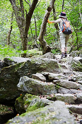 포토 JPG 주간 전신 나무 식물 여자 산 한국 한명 서기 사람 동양인 20대 성인 야외 뒷모습 등산 한국인 돌_바위 바위 숲 등산복 상쾌 등산화 등산가방 등산모자 경기도 가평 유명산 청년만 청년여자만 청년여자한명만 성인여자한명만 국내포토 자연요소 모자_잡화 1 옷 감정 아시아 뷰포인트 신발 가방 모션 인종 청년 트래킹 등산용품 여자만 여자한명만 성인여자만 성인만 파일형식
