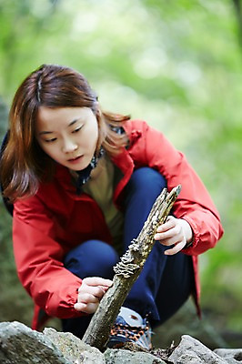 포토 JPG 주간 전신 나무 식물 응시 여자 산 한국 한명 들기 사람 앉기 동양인 20대 성인 야외 아웃포커스 버섯 등산 한국인 관찰 숲 등산복 상쾌 나무토막 경기도 가평 유명산 청년만 청년여자만 청년여자한명만 성인여자한명만 국내포토 자연요소 1 시선 옷 감정 아시아 모션 촬영기법 인종 청년 트래킹 여자만 여자한명만 성인여자만 성인만 파일형식