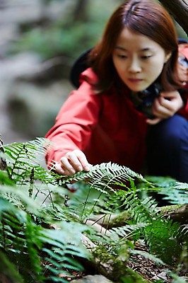 포토 JPG 주간 나무 식물 응시 여자 산 한국 한명 사람 앉기 동양인 상반신 20대 성인 야외 아웃포커스 등산 만지기 한국인 관찰 풀 숲 등산복 상쾌 경기도 가평 유명산 청년만 청년여자만 청년여자한명만 성인여자한명만 국내포토 자연요소 1 시선 옷 감정 아시아 모션 촬영기법 인종 청년 트래킹 여자만 여자한명만 성인여자만 성인만 파일형식