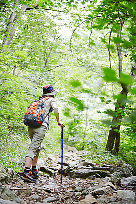 포토 JPG 주간 전신 나무 식물 여자 지팡이 산 한국 한명 서기 사람 동양인 20대 성인 야외 뒷모습 아웃포커스 등산 한국인 돌_바위 바위 숲 등산복 상쾌 등산화 등산가방 등산모자 경기도 가평 유명산 청년만 청년여자만 청년여자한명만 성인여자한명만 국내포토 자연요소 모자_잡화 1 옷 감정 아시아 뷰포인트 신발 가방 모션 촬영기법 인종 청년 트래킹 등산용품 여자만 여자한명만 성인여자만 성인만 파일형식