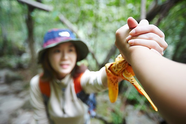 포토 JPG 주간 나무 식물 손 여자 산 한국 사람 동양인 상반신 20대 성인 야외 두명 아웃포커스 신체부위 등산 한국인 잡기 도움 숲 등산복 상쾌 등산모자 경기도 가평 유명산 청년만 성인한명만 성인만 국내포토 자연요소 모자_잡화 옷 감정 아시아 컨셉 모션 촬영기법 인종 청년 트래킹 파일형식