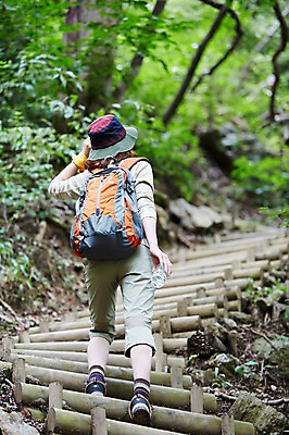 포토 JPG 주간 전신 나무 식물 여자 산 한국 한명 서기 들기 사람 동양인 20대 성인 야외 뒷모습 아웃포커스 계단 등산 한국인 숲 물병 등산복 상쾌 등산가방 등산모자 경기도 가평 유명산 청년만 청년여자만 청년여자한명만 성인여자한명만 국내포토 자연요소 모자_잡화 1 옷 감정 아시아 뷰포인트 가방 모션 촬영기법 인종 청년 트래킹 물통 여자만 여자한명만 성인여자만 성인만 파일형식