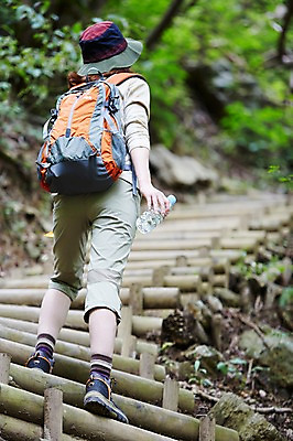 포토 JPG 주간 전신 나무 식물 여자 산 한국 한명 서기 들기 사람 동양인 20대 성인 야외 뒷모습 아웃포커스 계단 등산 한국인 숲 물병 등산복 상쾌 등산가방 등산모자 경기도 가평 유명산 청년만 청년여자만 청년여자한명만 성인여자한명만 국내포토 자연요소 모자_잡화 1 옷 감정 아시아 뷰포인트 가방 모션 촬영기법 인종 청년 트래킹 물통 여자만 여자한명만 성인여자만 성인만 파일형식