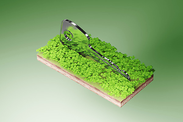 PSD 식물 편집이미지 컬러 백그라운드 열쇠 부동산 주택 사람없음 컴퓨터그래픽 그래픽 초록색 3D소스 3D 금속 미니어처 풀 실버 은색 철 편집소스 편집3D 노년 재질 건물 모형 재산 디지털합성 파일형식