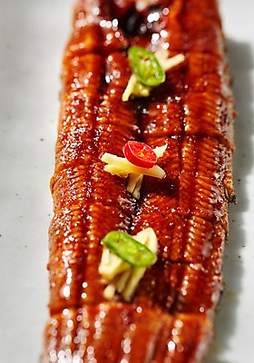 포토 JPG 스튜디오촬영 식기 접시 음식 고추 실내 어류 요리 근접촬영 사람없음 아웃포커스 장식 전통음식 양념 장어 보양식 생강 장어구이 국내포토 전통 뷰포인트 채소 촬영기법 내부 수중동물 생선요리 몸보신 파일형식