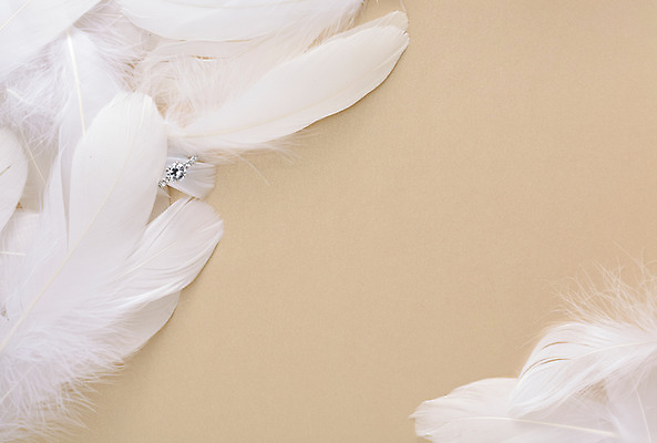 포토 JPG 스튜디오촬영 백그라운드 장신구 털 실내 사람없음 반지 광석 보석 깃털 오브젝트 다이아몬드 다이아몬드반지 국내포토 내부 파일형식