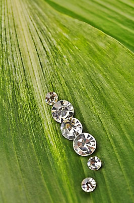 포토 JPG 스튜디오촬영 식물 백그라운드 잎 장신구 나뭇잎 실내 근접촬영 사람없음 아웃포커스 광석 보석 오브젝트 다이아몬드 국내포토 뷰포인트 촬영기법 내부 파일형식