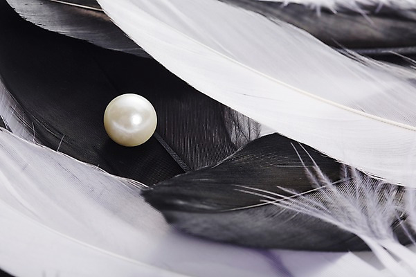 포토 JPG 스튜디오촬영 백그라운드 장신구 털 실내 사람없음 아웃포커스 보석 깃털 오브젝트 진주 국내포토 촬영기법 내부 광석 파일형식