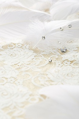 포토 JPG 스튜디오촬영 백그라운드 장신구 털 실내 사람없음 아웃포커스 광석 보석 천 깃털 오브젝트 다이아몬드 국내포토 레이스천 촬영기법 내부 직물 파일형식