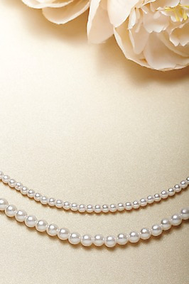 포토 JPG 스튜디오촬영 식물 꽃 백그라운드 목걸이 장신구 실내 사람없음 보석 오브젝트 진주 진주목걸이 국내포토 내부 광석 진주_보석 파일형식