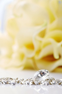 포토 JPG 스튜디오촬영 식물 꽃 컬러 백그라운드 장신구 실내 사람없음 아웃포커스 노란색 광석 보석 다이아몬드 국내포토 촬영기법 내부 파일형식