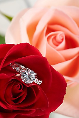 포토 JPG 스튜디오촬영 식물 꽃 분홍색 컬러 배경화면 백그라운드 장신구 실내 근접촬영 사람없음 아웃포커스 빨간색 장미 광석 보석 오브젝트 다이아몬드 다이아몬드반지 국내포토 뷰포인트 촬영기법 내부 반지 파일형식