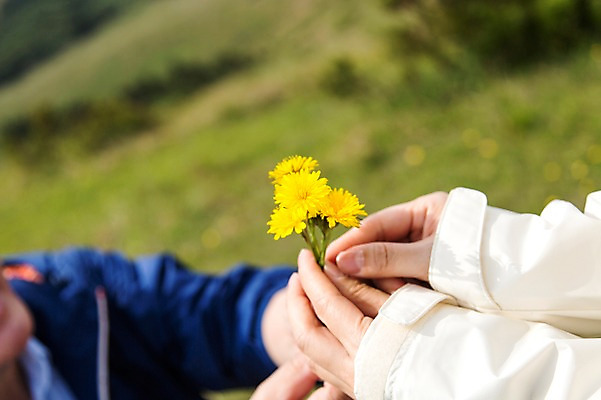 포토 JPG 주간 식물 라이프스타일 손 부부 커플 여자 할아버지 노년 남자 꽃 할머니 컬러 프로포즈 한국 아웃도어 들기 사람 동양인 야외 두명 아웃포커스 신체부위 실버라이프 제주도 노란색 노부부 활발 한국인 60대 상쾌 용눈이오름 노인만 국내포토 자연요소 감정 아시아 컨셉 관계 모션 산 촬영기법 인종 성인 생활 성인만 파일형식