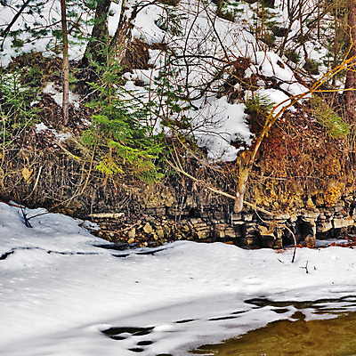 포토 JPG 해외이미지 나무 겨울 바람 날씨 휴식 건조 풍경 사람없음 목재 세로 갈색 침묵 소나무 숲 통나무 전나무 생태학 해외202004 해외포토 자연요소 식물 계절 교육 컬러 컨셉 재료 소리 파일형식 이미지허브