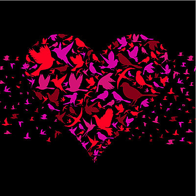 EPS 해외이미지 동물 디자인 패턴 날개 일러스트 자연 조류 추상 사랑 미술 동양인 장식 평화 하트 만화 왜가리 심볼 깃털 비둘기 꼬리 거위 고무 타조 동물상 소셜네트워크 해외202004 해외일러스트 모양 감정 컨셉 무늬 문화예술 인종 조형물 생태계 파일형식 벡터 이미지허브