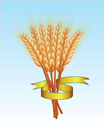 EPS 해외이미지 클립아트 식물 디자인 계절 실루엣 음식 빵 백그라운드 패턴 농업 일러스트 자연 하늘 휴가 새로움 건강 옥수수 미술 씨앗 장식 초록색 파란색 노란색 수확 가을 시골 악단 황금 낟알 밀 심볼 그림 유기농 귀 내추럴 엘리먼트 호밀 해외202004 해외일러스트 웰빙 산업 음악 컬러 컨셉 무늬 문화예술 곡류 촬영기법 신체부위 생태계 파일형식 벡터 이미지허브