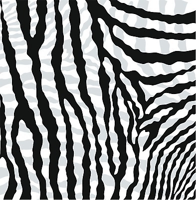 EPS 해외이미지 클립아트 동물 디자인 야생동물 선 백그라운드 패턴 곡선 일러스트 포유류 아프리카 자연 벽지 추상 털 동물원 장식 유행 검은색 줄무늬 회색 흰색 그리기 인쇄 가죽 사파리 피부 묘사 질감 웨이브 복고 얼룩말 층 숨김 그런지 동물상 해외202004 해외일러스트 나라 컬러 컨셉 무늬 모션 신체부위 조형물 말_동물 생태계 파일형식 벡터 이미지허브