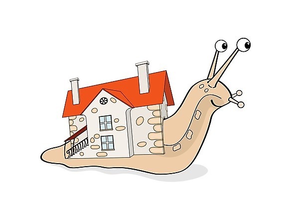 EPS 해외이미지 동물 모델 디자인 줄기 여행 백그라운드 일러스트 건축양식 창문 교통시설 지붕 모바일 주택 이야기 굴뚝 안전 건물 그래픽 껍질 입 시장 재산 달콤 심볼 달팽이 덮기 촉수 이웃 보험 기어가기 대출 고립 진짜 소유 끈적임 해외202004 해외일러스트 식물 건축물 건축 교통 모션 연체동물 신체부위 금융 맛 시설 파일형식 벡터 이미지허브