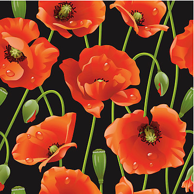 EPS 해외이미지 식물 배너 계절 꽃 백그라운드 꽃무늬 패턴 밭 일러스트 자연 벽지 추상 미술 장식 빨간색 초록색 빛 봄 수확 벚꽃 직물 인사 신용카드 벌레 이슬 딱정벌레 타일 그림 질감 무당벌레 양귀비 내추럴 고립 시리즈 해외202004 해외일러스트 컬러 곤충 무늬 농업 문화예술 금융 예절 생태계 파일형식 벡터 이미지허브