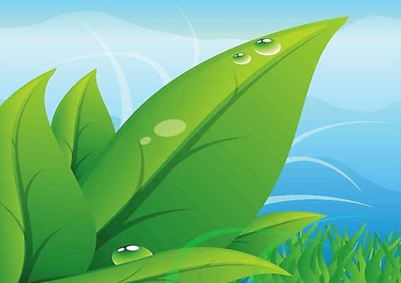 EPS 해외이미지 모양 식물 디자인 계절 꽃 줄기 컨셉 잎 일러스트 자연 새로움 건강 미술 그래픽 초록색 물 여름 빛 환경 힘 봄 재활용 성장 나뭇가지 신선 액체 떨어짐 보호 매끈함 이슬 허브 심볼 사인 싱글 모종 묘목 엘리먼트 해외202004 해외일러스트 자연요소 나무 컬러 문화예술 감각 친환경 생태계 파일형식 벡터 이미지허브