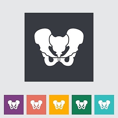 EPS 해외이미지 모양 십자가 신체 일러스트 해부 뼈 골격 건강 사람 그래픽 초록색 파란색 세트 약 검은색 플랫 엉덩이 심볼 골다공증 고립 해외202004 해외일러스트 컬러 의학 신체부위 질병 파일형식 벡터 이미지허브