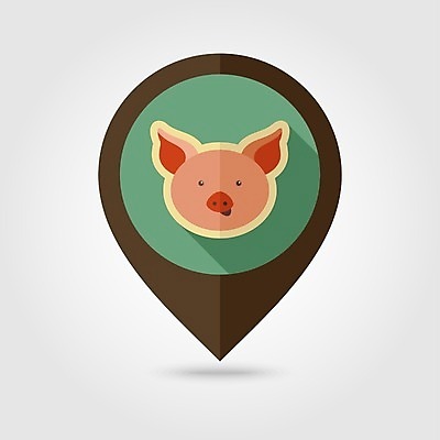 JPG EPS 해외이미지 한마리 일러스트 사람없음 농장 돼지 위치 해외202004 해외일러스트 1 농업 포유류 파일형식 벡터 이미지허브