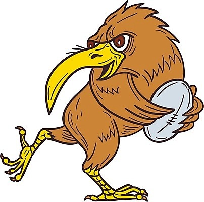 EPS 해외이미지 동물 야생동물 일러스트 공 조류 잉크 키위 그래픽 달리기 럭비 스케치 흰배경 그림 손그림 스크래치 고립 플레이어 핸드메이드 해외202004 해외일러스트 백그라운드 과일 모션 미술 구기 흰색 파일형식 벡터 이미지허브