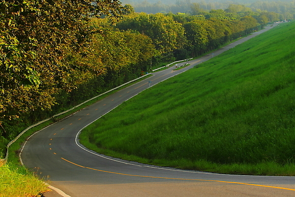 포토 JPG 해외이미지 직업 도로 길 선 여행 이동 밭 모션 자연 산 풍경 사람없음 야외 초록색 여름 빛 노란색 손상 운전 시골 고속도로 아스팔트 언덕 속도 멀리 바둑 루트 방법 블러 수평선 해외202004 해외포토 계절 컬러 컨셉 농업 교통시설 놀이 생태계 파일형식 이미지허브
