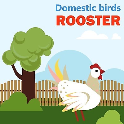EPS 해외이미지 동물 캐릭터 영어 교육 어린이 일러스트 교실 학교 자연 놀이 조류 수업 동물원 그래픽 단어 스터디 컬러풀 농장 치킨 가축 유치원 게임 시골 신용카드 가르침 플랫 만화 심볼 그림 심플 페이지 수탉 맞춤법 밭일 해외202004 해외일러스트 일러캐릭터 문자 컬러 농업 사람 한글 금융 학습 닭 수컷 생태계 닭고기요리 파일형식 벡터 이미지허브