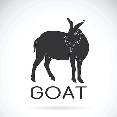 EPS 해외이미지 동물 1 디자인 행복 실루엣 얼굴 야생동물 음식 백그라운드 농업 일러스트 포유류 자연 추상 염소 새로움 산 뿔 육류 미술 사람없음 그래픽 장식 농장 머리 검은색 가축 우유 흰색 양 소 만화 스케치 연도 심볼 사인 내추럴 고립 램 스타일 해외202004 해외일러스트 감정 산업 컬러 컨셉 무늬 식재료 문화예술 유제품 촬영기법 신체부위 생태계 파일형식 벡터 이미지허브
