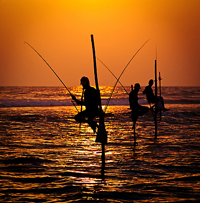 포토 JPG 해외이미지 직업 전통 남자 실루엣 문화 음식 파도 바다 여행 자연 하늘 낚시 사람 앉기 동양인 풍경 사람없음 물 여름 태양 맑음 일몰 잡기 업무 막대기 그룹 기다림 원주민 인도인 낚시꾼 봉 해외202004 해외포토 자연요소 외국인 계절 모션 레저 날씨 촬영기법 인종 노을 작업 아프리카인 생태계 파일형식 이미지허브