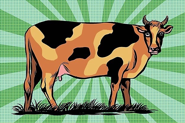 EPS 해외이미지 전신 동물 척추동물 한마리 1 농업 일러스트 포유류 자연 생물 서기 그래픽 가로 농장 가축 우유 흰색 점 소 만화 그림 황소 젖 송아지 차단 해외202004 해외일러스트 산업 새끼 컬러 모션 유제품 생태계 파일형식 벡터 이미지허브