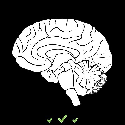 EPS 해외이미지 교육 과학 컨셉 일러스트 해부 아이디어 건강 창조 사람 약 머리 흰색 마음 오르간 불안 스마트 뇌 생물학 시스템 지능 해외202004 해외일러스트 감정 컬러 의학 신체부위 건반악기 파일형식 벡터 이미지허브