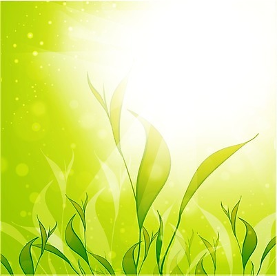 EPS 해외이미지 식물 백그라운드 잎 일러스트 자연 초록색 여름 태양 농장 성장 뜨거움 차 해외202004 해외일러스트 자연요소 계절 음료 컬러 농업 생태계 파일형식 벡터 이미지허브