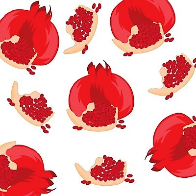 EPS 해외이미지 과일 일러스트 빨간색 수확 오브젝트 흰배경 가넷 숙성 해외202004 해외일러스트 컬러 백그라운드 농업 흰색 보석 파일형식 벡터 이미지허브